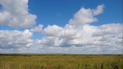 Obraz premium Summer landscape with field of grass,blue sky timelapse. Green Grass Field Landscape with fantastic clouds in the background. Great summer landscape.