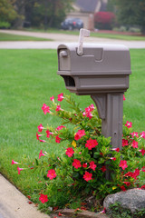 Plastic mail box with flowers around in neighborhood