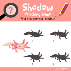 Shadow matching game of axolotl mexican salamander animals for preschool kids activity worksheet colorful version. Vector Illustration.