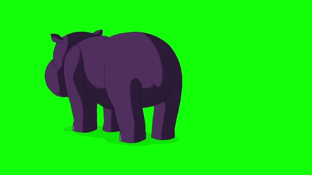Little Violet Hippo Runs with Stop Back View. Animated Motion Graphic Isolated on Green Screen