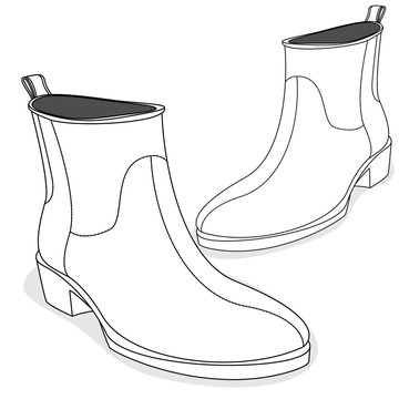 modern female ankle boots isolated