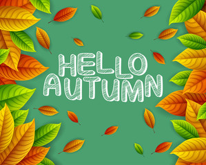 Autumn leaves on green background