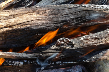 flames in a burning fire
