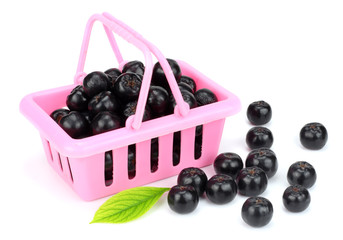 Chokeberry with leaf in pink shopping basket isolated on white background. Black aronia