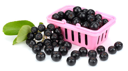 Chokeberry with leaf in pink shopping basket isolated on white background. Black aronia