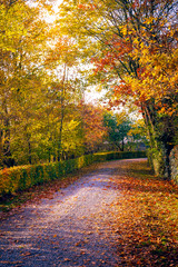Naklejka na ściany i meble Autumn road