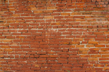 Fototapeta premium Background of brick wall texture