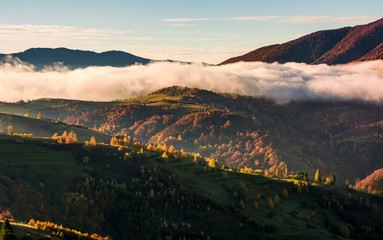 Fototapeta na wymiar cloud rising above the rolling hills, gorgeous autumnal scenery in mountains at sunrise