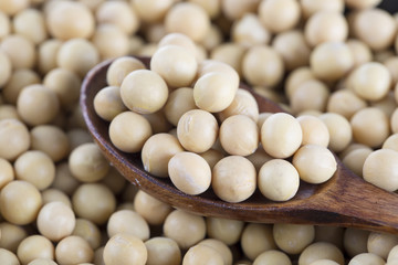 Soy beans and wooden spoon.