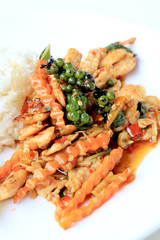 stir fried chicken with roasted chili paste and fresh Piper nigrum on jasmine rice in white plate on white background. Thai style food.