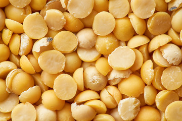 soybean  or soya bean