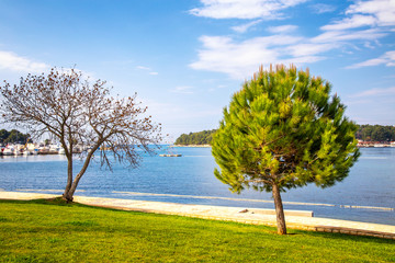 Fototapeta na wymiar Green lagoon sea bay in Porec, Croatia - Istria, Europe.