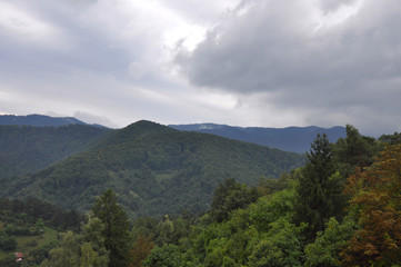 Green mountains in summer