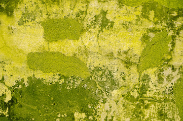 Grunge wall classic background. Color grunge texture. Old style pattern..