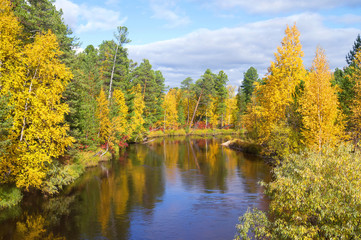 Beautiful autumn landscape. Autumn landscape with river and picturesque forest