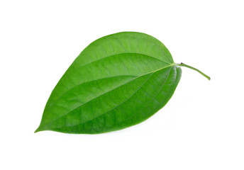 fresh peppercorn leaf with stem on white background