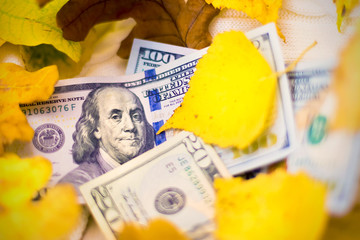 Dollars banknotes with yellow autumn leaves, close up