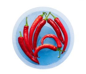 Red cayenne peppers (Capsicum annuum) in bowl of water isolated on white background. Top view. Aso known as Guinea spice, cow-horn pepper, red hot chili pepper, aleva, bird pepper.