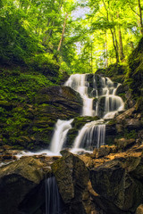 Fototapeta na wymiar Forest river waterfall. Shepot falls, Carpathians