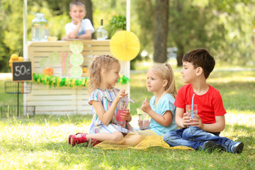 Naklejka na ściany i meble Adorable little children drinking homemade lemonade in park