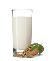 Glass with hemp milk isolated on white