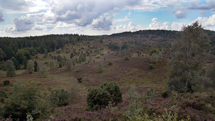 Herbst in der Lüneburger Heide - Totengrund