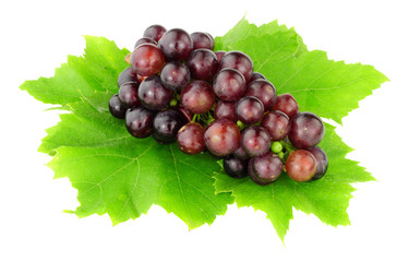 English grown ripe grapes isolated on a white background