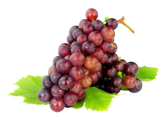 English grown ripe grapes isolated on a white background