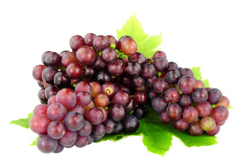 English grown ripe grapes isolated on a white background