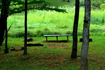 Hokkaido Sapporo city park