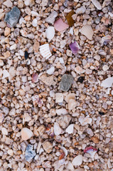 sandy background closeup