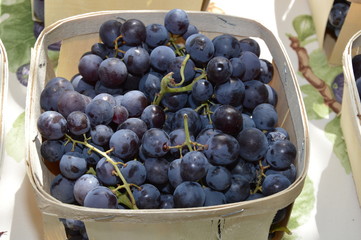Grapes (Muscat)