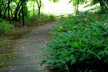 Promenade of Sapporo City park