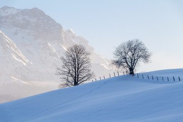 Berge und Bäume im Winter, Steinernes Meer Saalfelden
