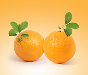  fruit Orange with leaves isolated