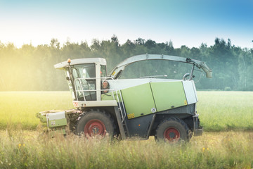 Fototapeta premium combine harvester in the morning on a field with blue sky