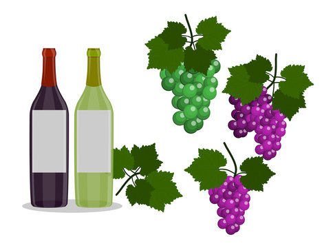 Set of Wine bottles and grapes isolated in the white background. Flat Design Illustration