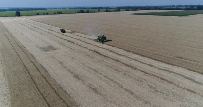 Aerial view on the combines and tractors working on the large wheat field, Harvester on the wheat field, Green harvester working on the field, View from above, the field harvesting wheat, aerial, 4k