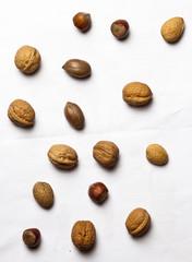 Studioaufnahme mit verschiedenen Nüssen