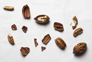 Studioaufnahmen mit Paranüssen