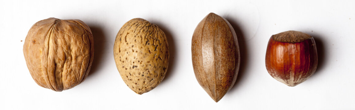 Studioaufnahme mit N&uuml;ssen