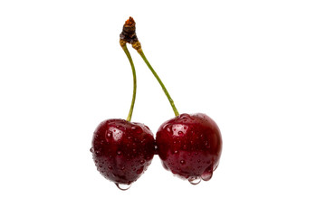 Two cherry with water droplets isolated on white background