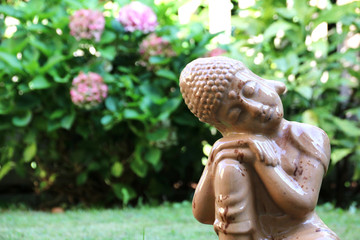 Buddha Garden