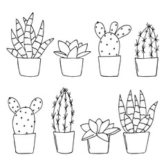 vector contour cactus set