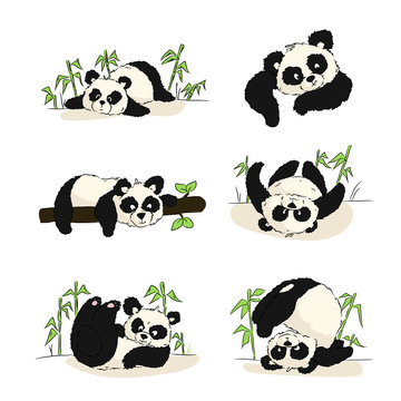 A set of illustrations with a panda cub. Panda sleeping, eating, playing. Hand drawing.