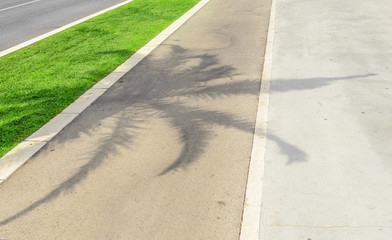 Obraz premium Shadow from a palm tree on the sidewalk.