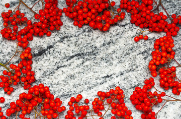 Frame from rowan bunches with ripe berries on Viscount White granite countertop