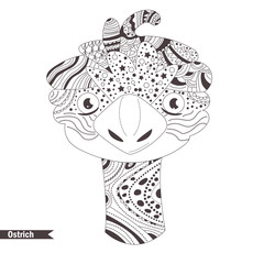 Ostrich. Emu. Coloring book