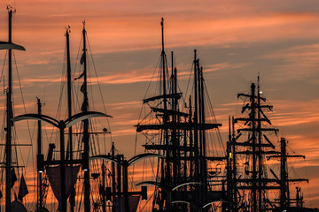 Masts of yachts at sunrise in port at the finale of The Tall Ships Races 2017 in Szczecin