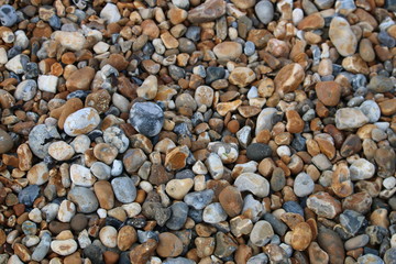 Beach fun